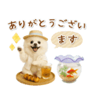 癒しポメラニアンの「夏」の毎日（個別スタンプ：33）