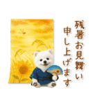 癒しポメラニアンの「夏」の毎日（個別スタンプ：40）