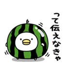 うるせぇトリ★毎年使える夏スタンプ（個別スタンプ：36）