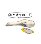 でスネ。（個別スタンプ：36）