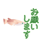 動くメダカ6夏（個別スタンプ：4）