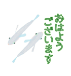動くメダカ6夏（個別スタンプ：5）