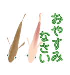 動くメダカ6夏（個別スタンプ：6）