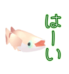 動くメダカ6夏（個別スタンプ：9）