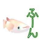 動くメダカ6夏（個別スタンプ：11）