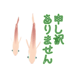 動くメダカ6夏（個別スタンプ：13）