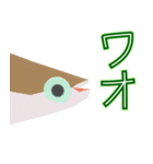 動くメダカ6夏（個別スタンプ：16）