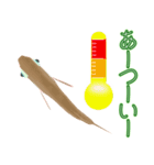 動くメダカ6夏（個別スタンプ：17）