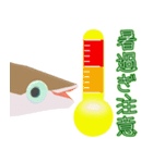 動くメダカ6夏（個別スタンプ：21）