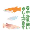 動くメダカ6夏（個別スタンプ：22）