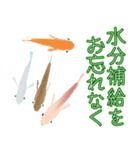 動くメダカ6夏（個別スタンプ：23）