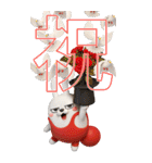BIG擦れうさぎ 3D 3（個別スタンプ：1）