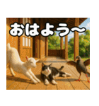 仲良し3匹 猛暑の夏編（個別スタンプ：1）
