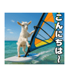 仲良し3匹 猛暑の夏編（個別スタンプ：2）