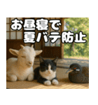 仲良し3匹 猛暑の夏編（個別スタンプ：4）