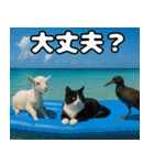 仲良し3匹 猛暑の夏編（個別スタンプ：7）