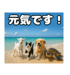 仲良し3匹 猛暑の夏編（個別スタンプ：8）