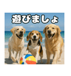 仲良し3匹 猛暑の夏編（個別スタンプ：9）