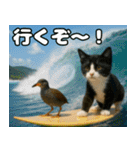 仲良し3匹 猛暑の夏編（個別スタンプ：11）
