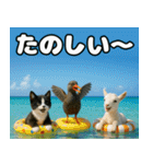 仲良し3匹 猛暑の夏編（個別スタンプ：13）