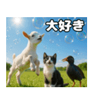 仲良し3匹 猛暑の夏編（個別スタンプ：15）