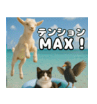 仲良し3匹 猛暑の夏編（個別スタンプ：16）