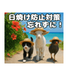 仲良し3匹 猛暑の夏編（個別スタンプ：18）