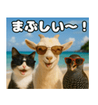 仲良し3匹 猛暑の夏編（個別スタンプ：19）
