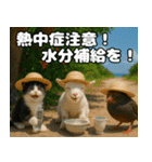 仲良し3匹 猛暑の夏編（個別スタンプ：20）