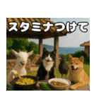 仲良し3匹 猛暑の夏編（個別スタンプ：25）