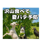 仲良し3匹 猛暑の夏編（個別スタンプ：26）