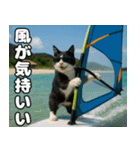 仲良し3匹 猛暑の夏編（個別スタンプ：29）