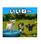 仲良し3匹 猛暑の夏編（個別スタンプ：30）