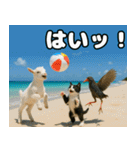 仲良し3匹 猛暑の夏編（個別スタンプ：31）