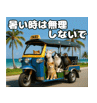 仲良し3匹 猛暑の夏編（個別スタンプ：34）