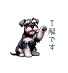 毎日使えるシュナウザー【家族・連絡】（個別スタンプ：15）