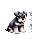 毎日使えるシュナウザー【家族・連絡】（個別スタンプ：22）