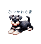 毎日使えるシュナウザー【家族・連絡】（個別スタンプ：23）