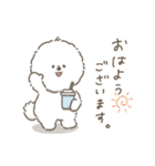 働くビションフリーゼ（個別スタンプ：1）