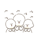 働くビションフリーゼ（個別スタンプ：11）