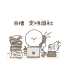 働くビションフリーゼ（個別スタンプ：17）