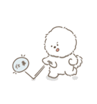 働くビションフリーゼ（個別スタンプ：24）
