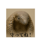 おふざけアニマルシリーズ(絶滅危惧種編)（個別スタンプ：2）