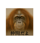 おふざけアニマルシリーズ(絶滅危惧種編)（個別スタンプ：3）