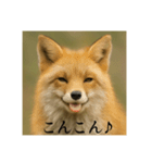 おふざけアニマルシリーズ(日本在来種編)（個別スタンプ：2）