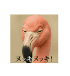 おふざけアニマル(鳥類)（個別スタンプ：1）