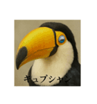 おふざけアニマル(鳥類)（個別スタンプ：5）