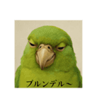 おふざけアニマル(鳥類)（個別スタンプ：7）