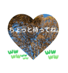 自由の海で探したものは日常挨拶 日本語（個別スタンプ：1）
