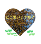 自由の海で探したものは日常挨拶 日本語（個別スタンプ：3）